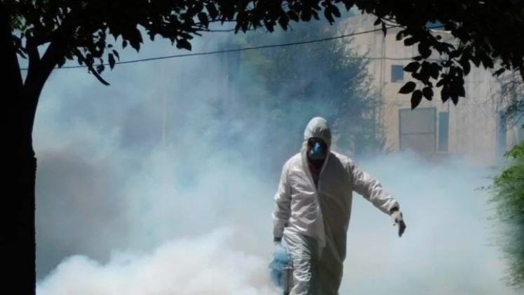 Dengue Preocupación Por La Falta De Fumigación En Bragado.